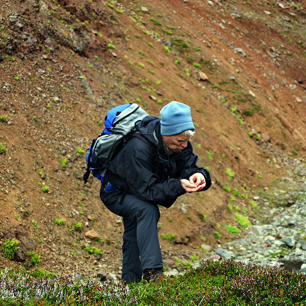 forsida-38-44f743e67b435-1