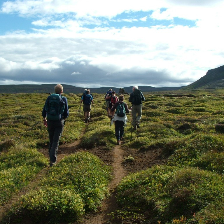 forsida-37-44f6a9c755082-1