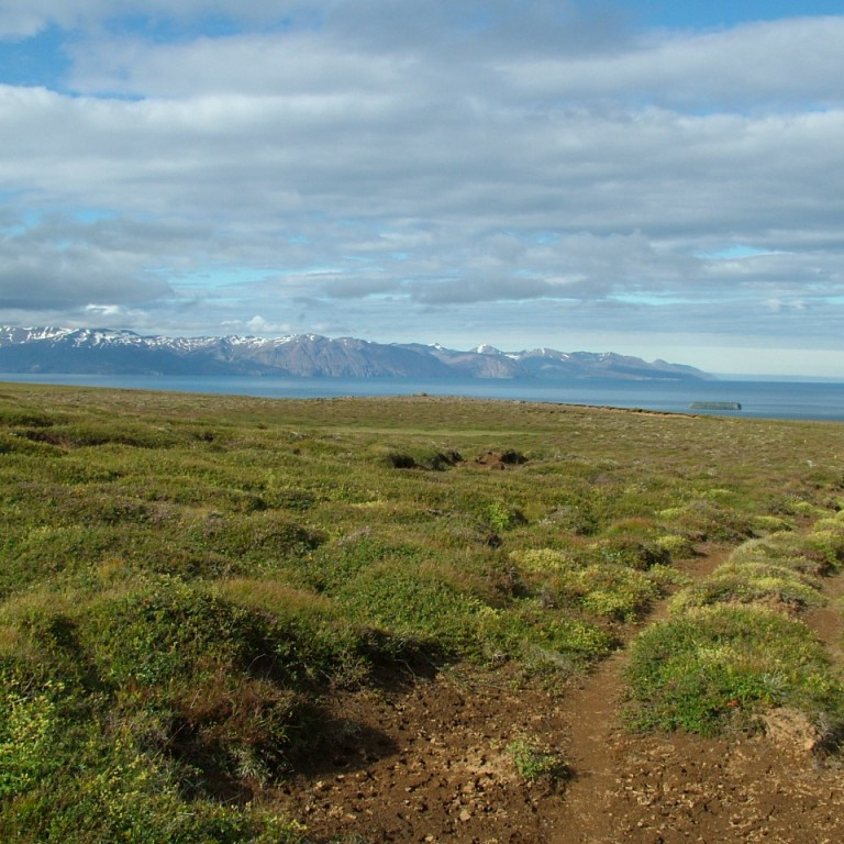 forsida-37-44f6a9e669fc0-1