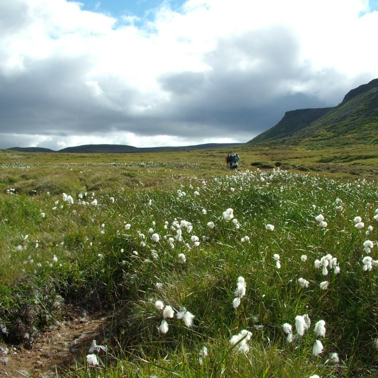 forsida-37-44f6aa2be88c1-1