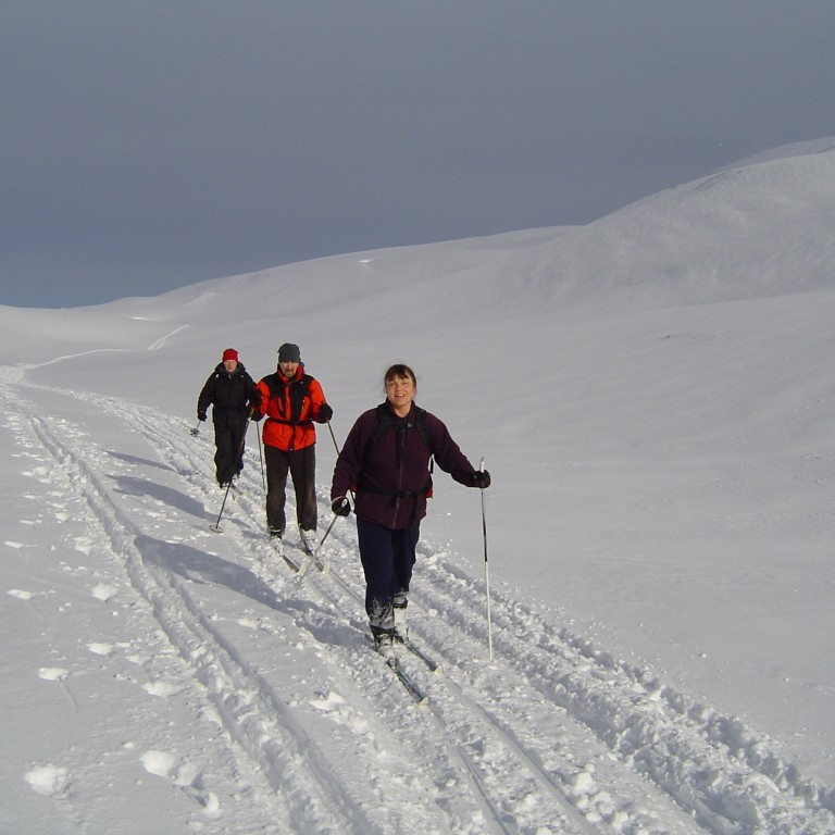 forsida-13-44197cb841d93-1