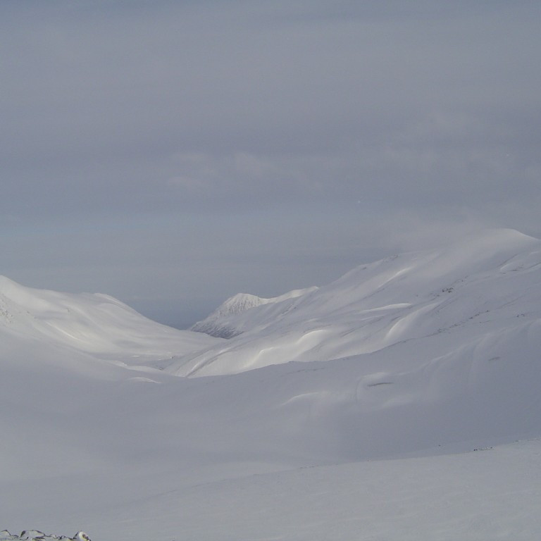 forsida-13-44197d03c7fb9-1