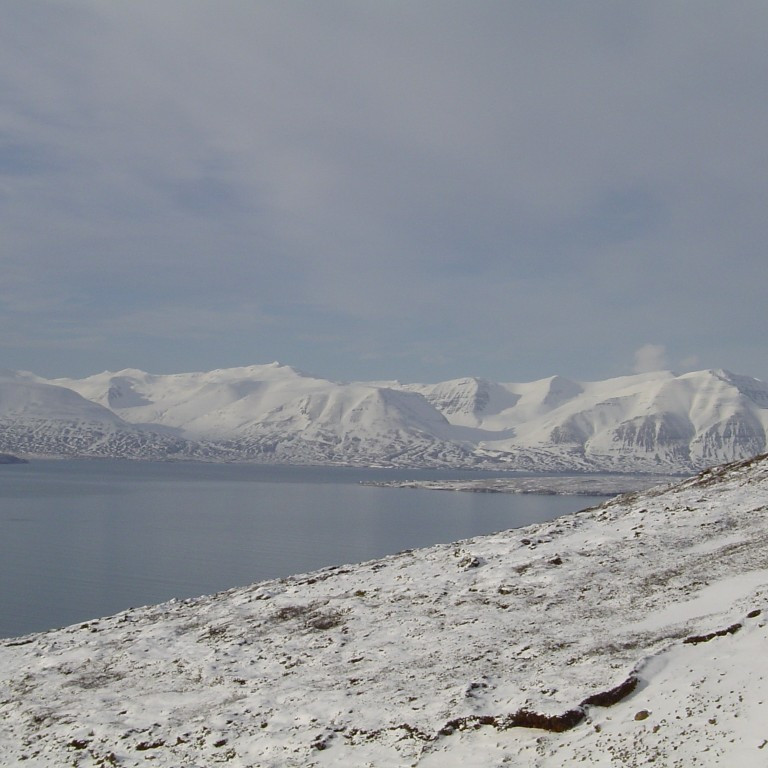 forsida-13-44197d1f6d031-1