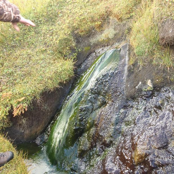 Heit laug (+50°C) við Laugakvísl sunnan skálanna í Laugafelli