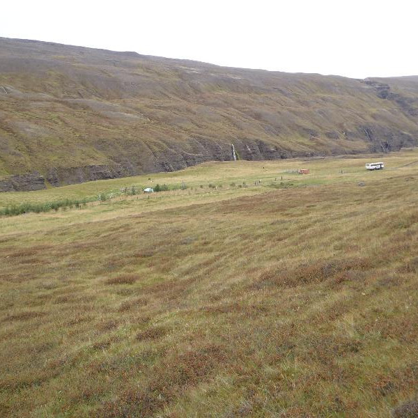 Hluti hópsins gekk niður hlíðina ofan við Þorljótsstaði í Vesturdal. Hér sér heim að Þorljótsstöðum.