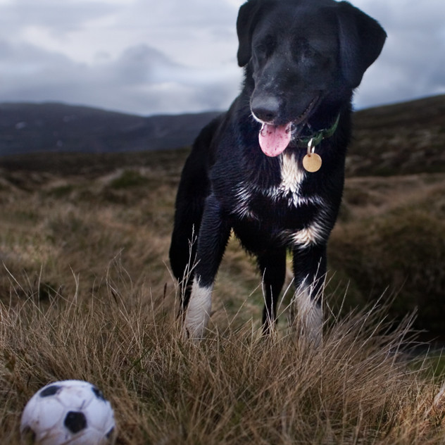 forsida-24-44bbcf1c5b4c2-1