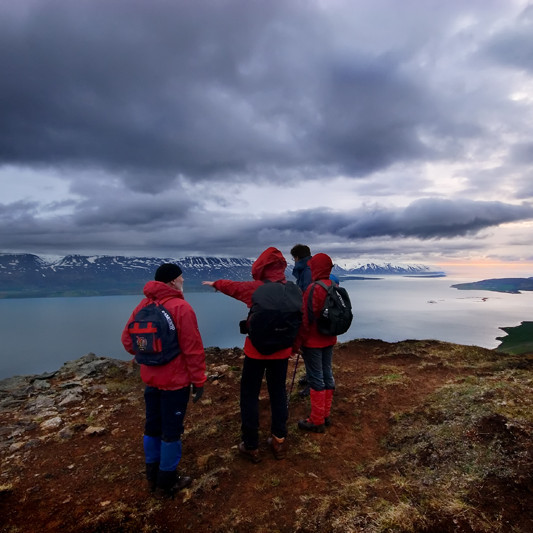 forsida-24-44bbcf47c282a-1