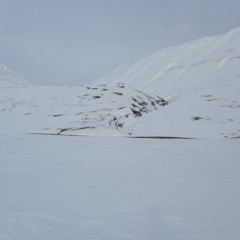 Séð inn Féeggstaðadal