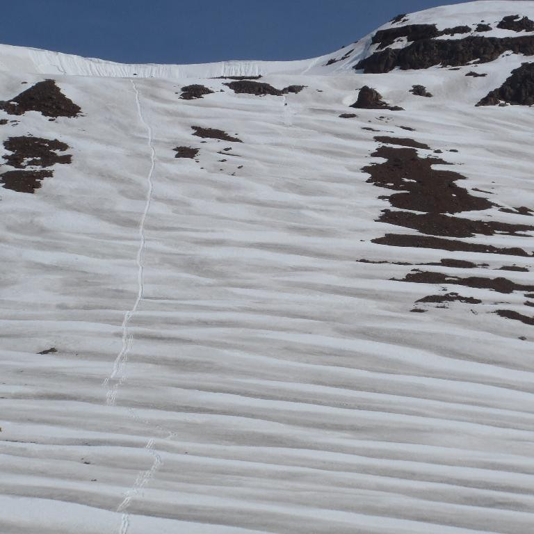 Slóðin vel sjáanleg.