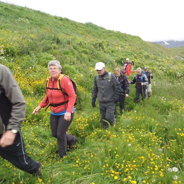 Mikill og þéttur gróður er víða í gilinu