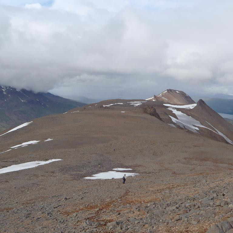 Krummarnir og Súlur
