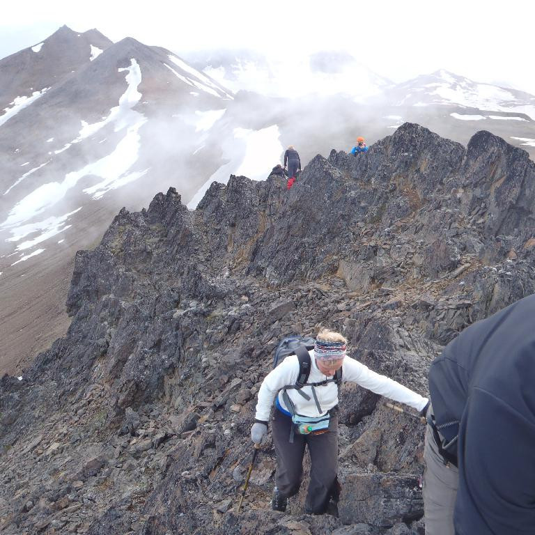 Stóri Krummi sigraður.