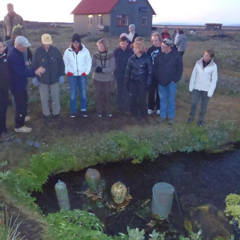 Vatnshrútarnir skoðaðir