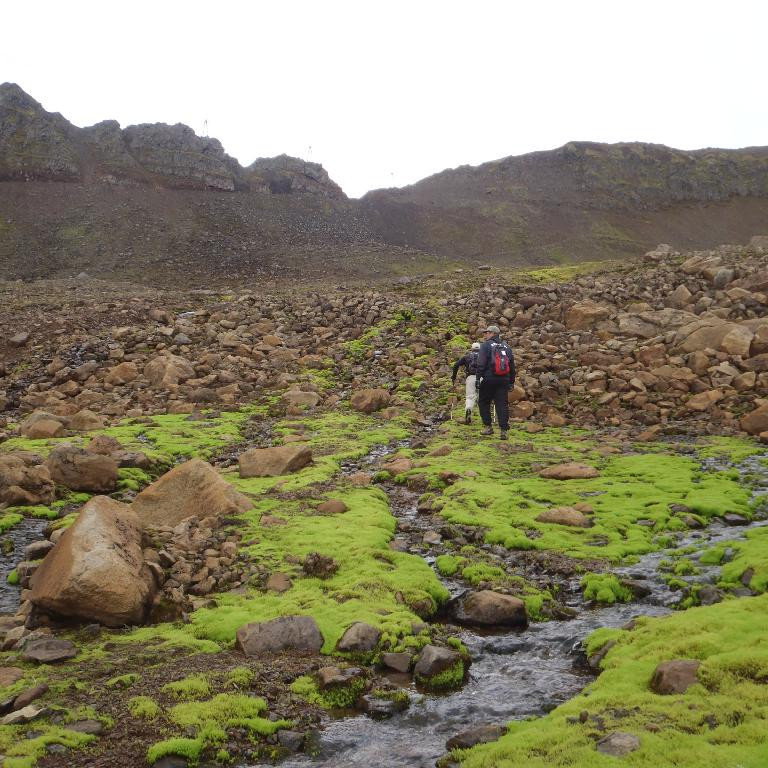 Séð upp í Siglufjarðarskarð