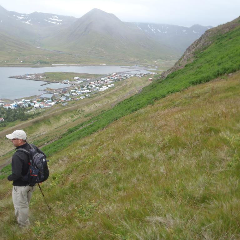 Konni virðir fyrir sér snjóflóðavarnargarðana.