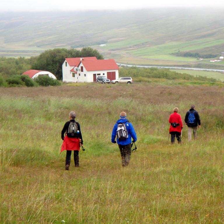 Gengið niður gamla túnið heim að Efri-Vöglum