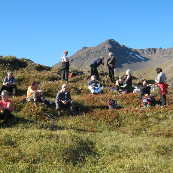 Hádegisáning og beðið meðan verið var að reka fé framhjá.