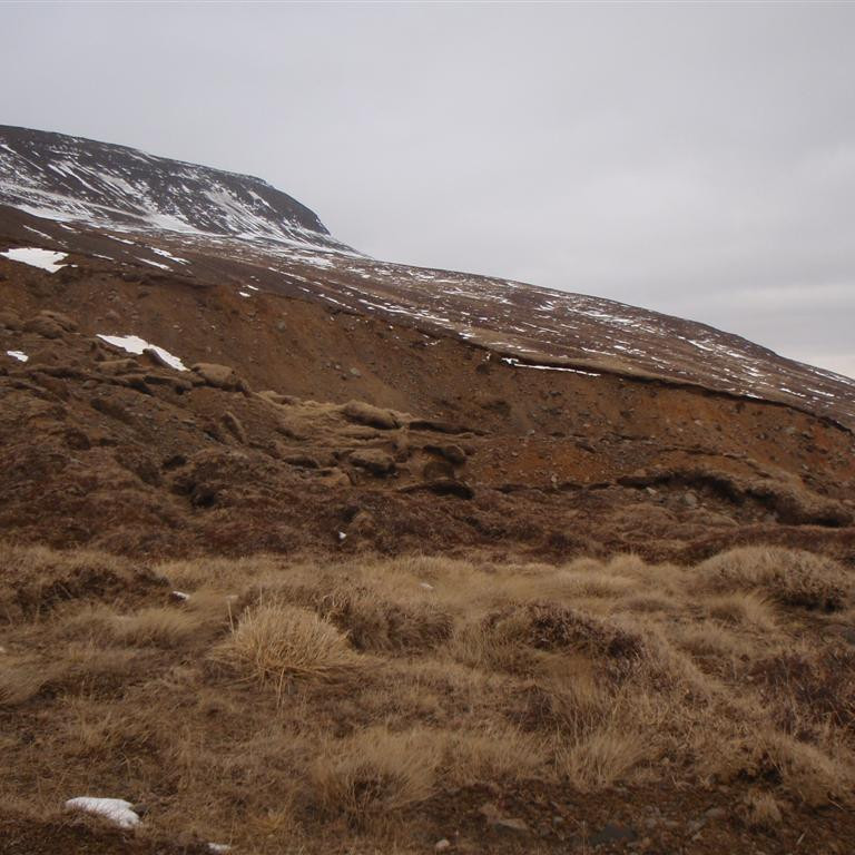 Efri mörk jarðvegsskriðunar mjög greinileg