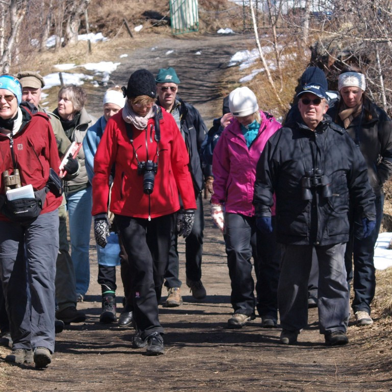 Hópurinn skálmar inn í Höfða