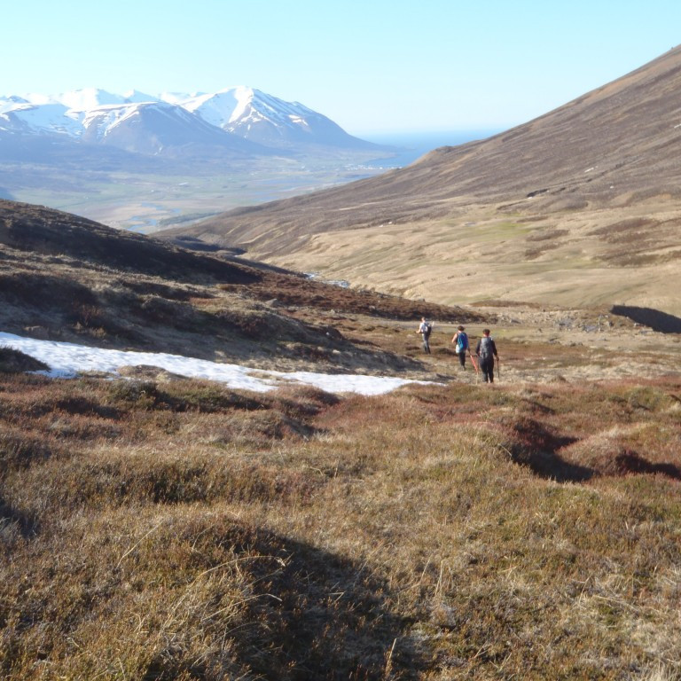 Horft niður Hofsárdal