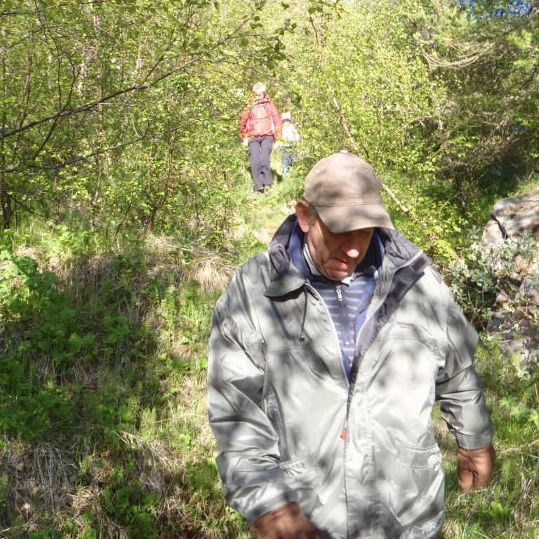 Gróðurinn er orðin ágengur