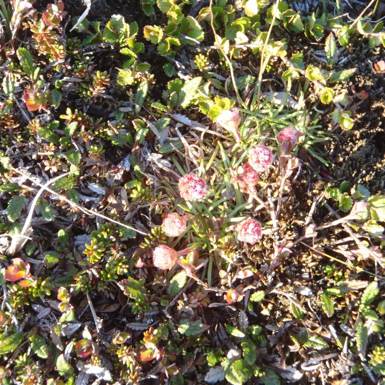 p6140064