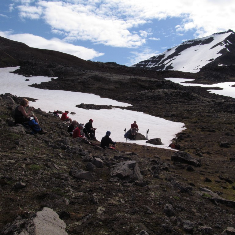 Nestispása.  Miðhyrna til hægri.