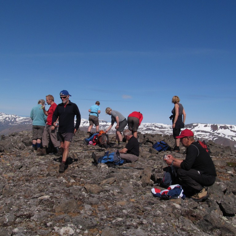 Nutum þess að vera á toppnum.