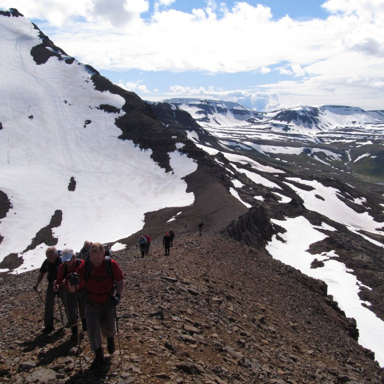 Fjöllin í botni Tungudals í baksýn.