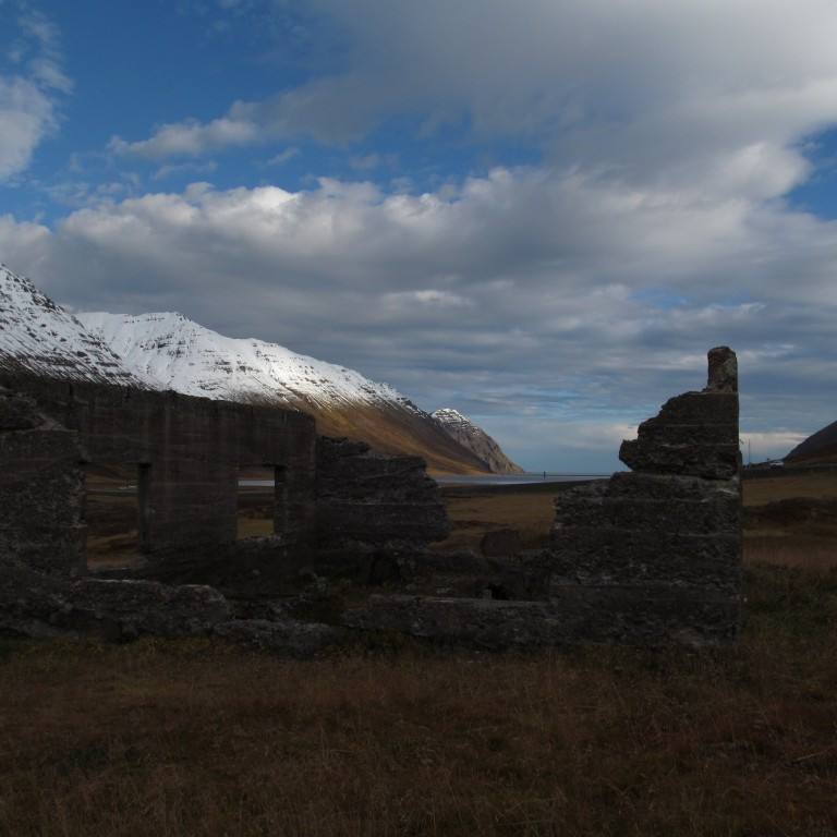 Grundarkot. Hesturinn í baksýn.