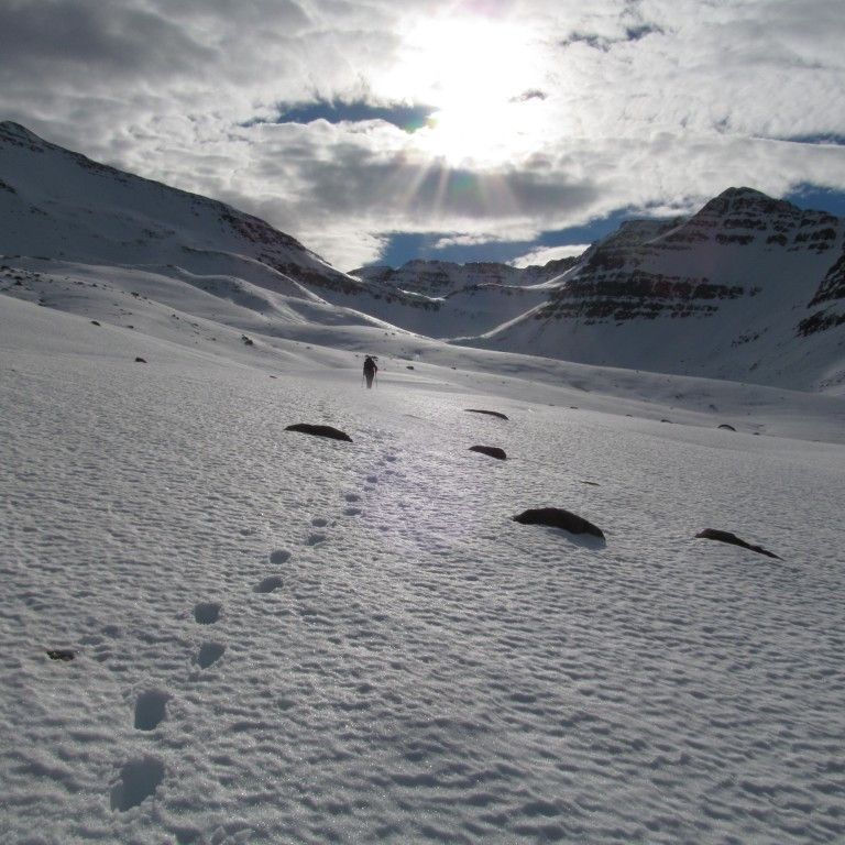 Þrammað inn skálina.