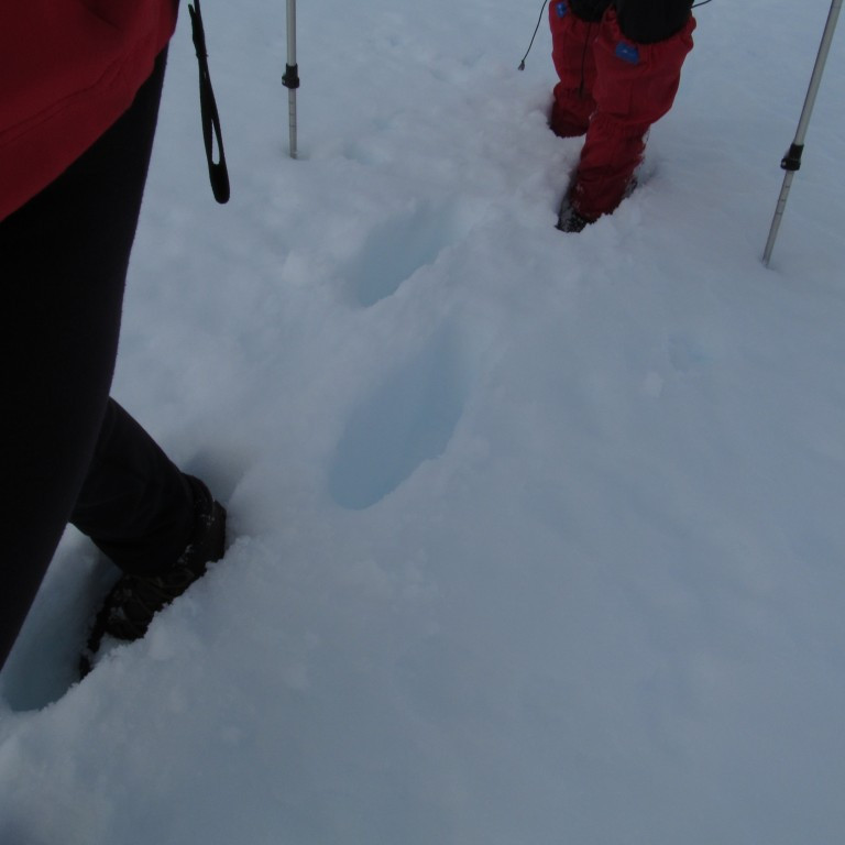 Gott var að ganga í sporum annara.