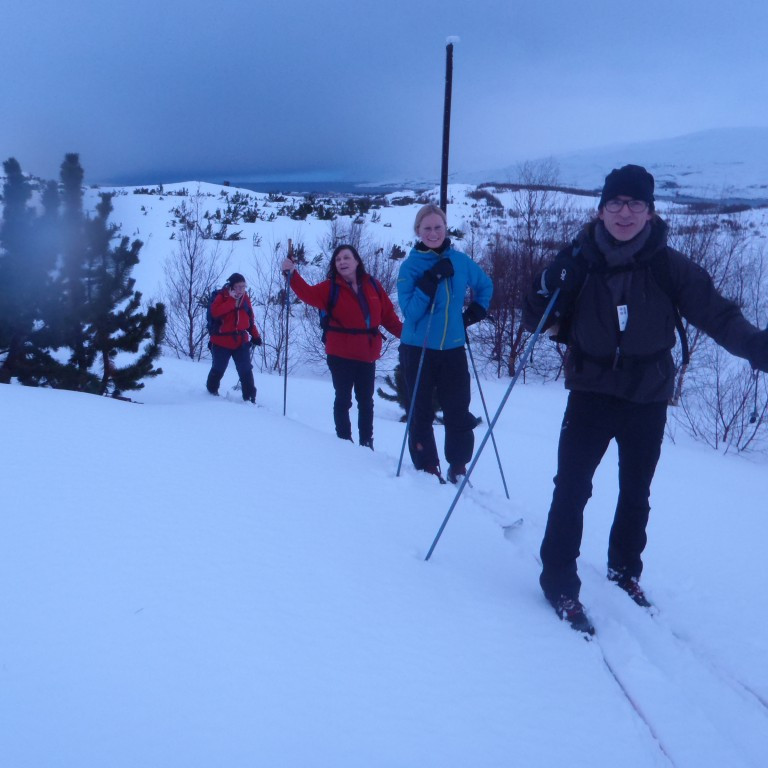 Komin á leiðina suður að Gamla