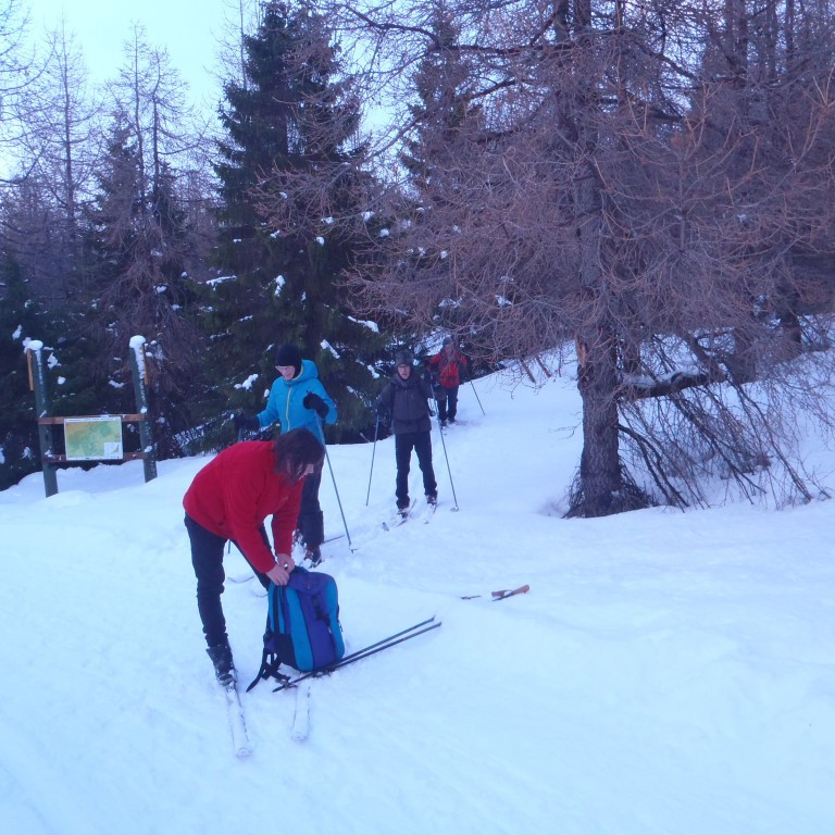 Komin á gönguleiðina innst í Kjarnaskógi