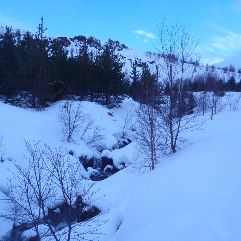 Brunnáin í klakaböndum