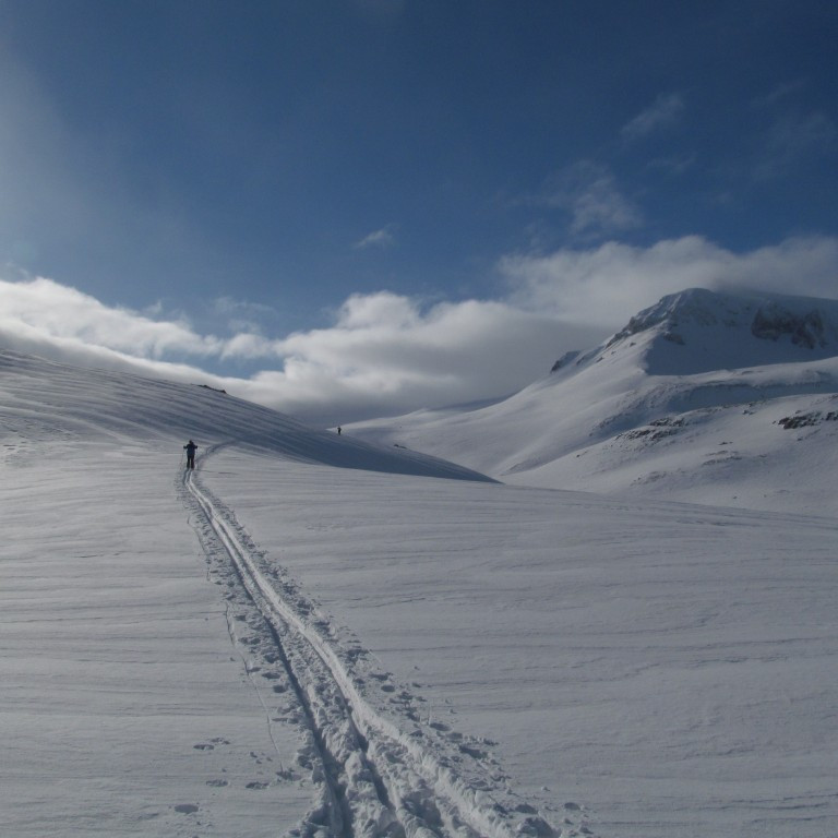 Nú var gott að hafa slóðina.