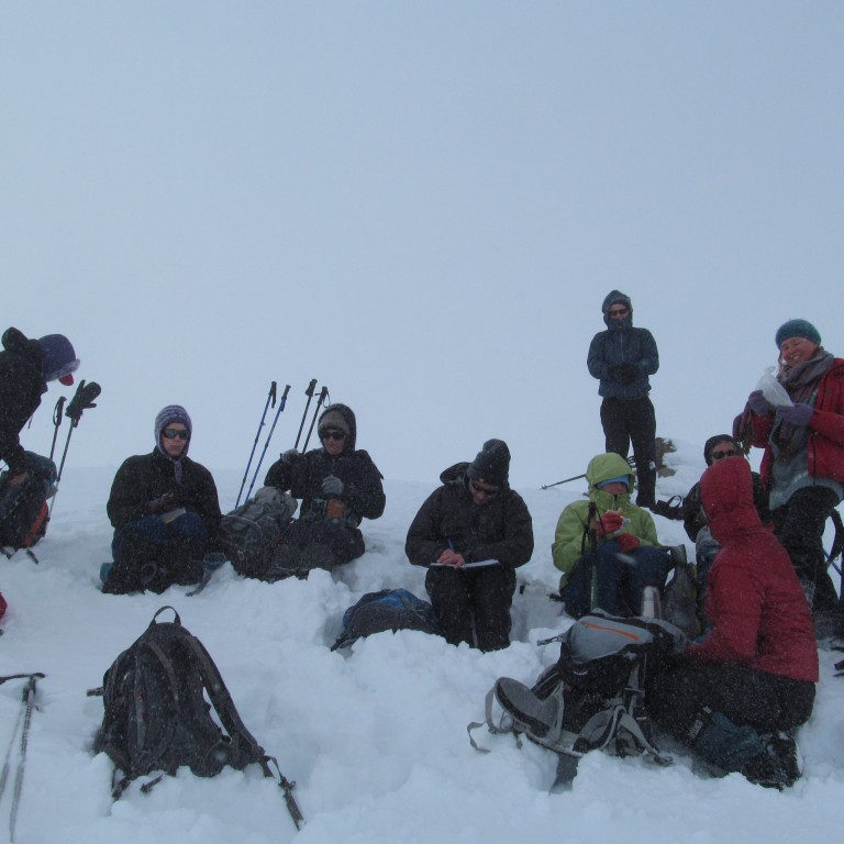 Nestið snætt á Ytri-Súlu.