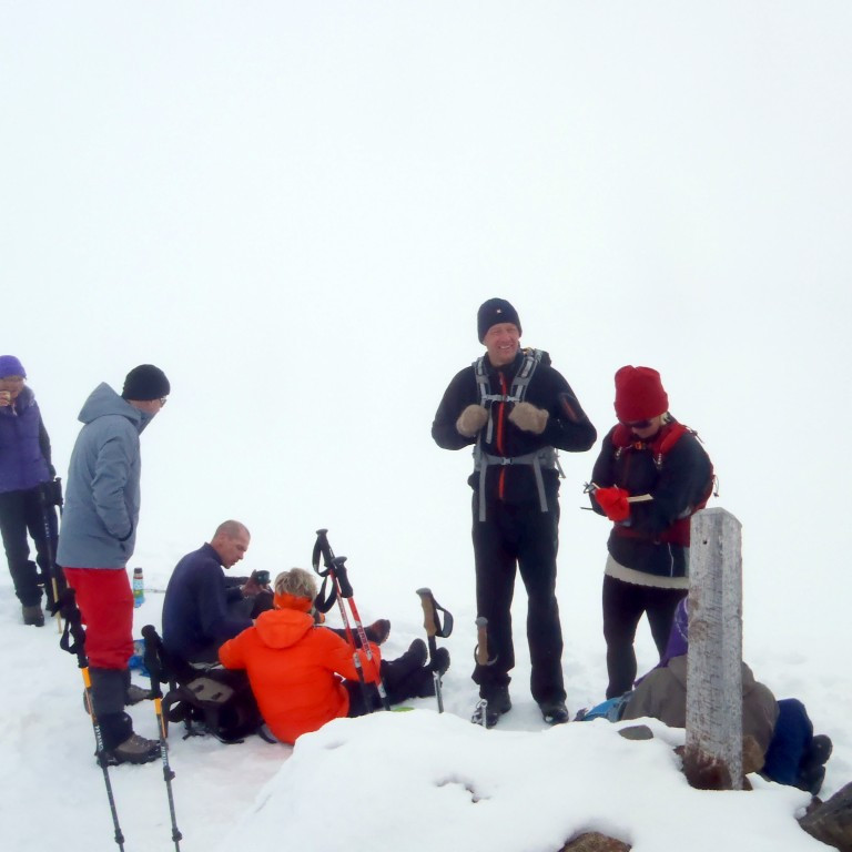Ginger, Haukur, Viðar, Lína,  Arnheiður