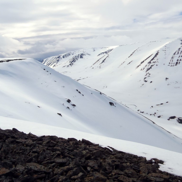 Suður Þorvaldsdal.