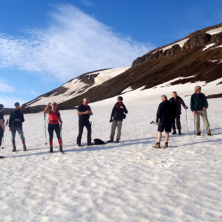 Í hlíðum Ystu Víkurfjalls