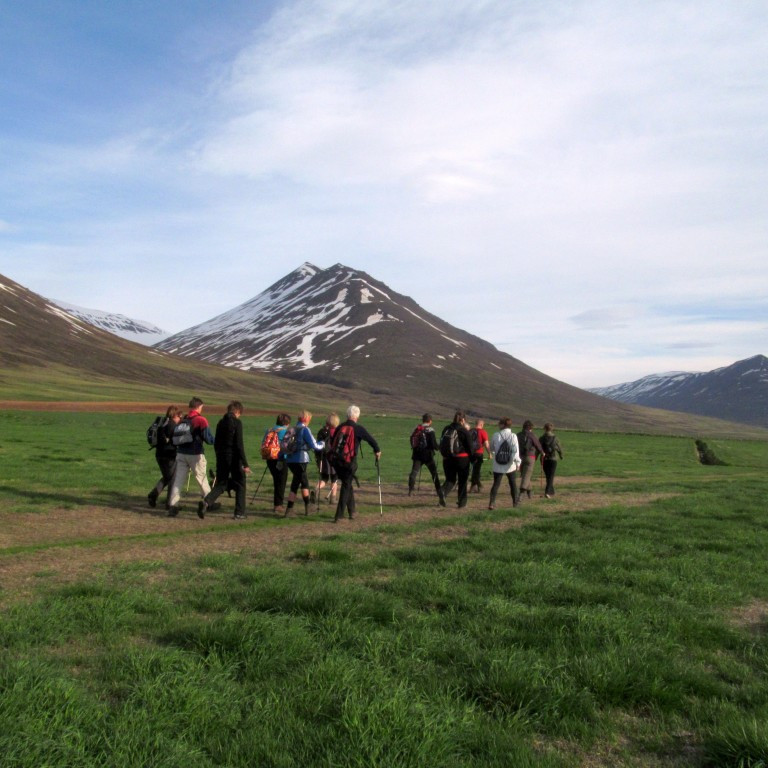 Tungnafjall í baksýn.