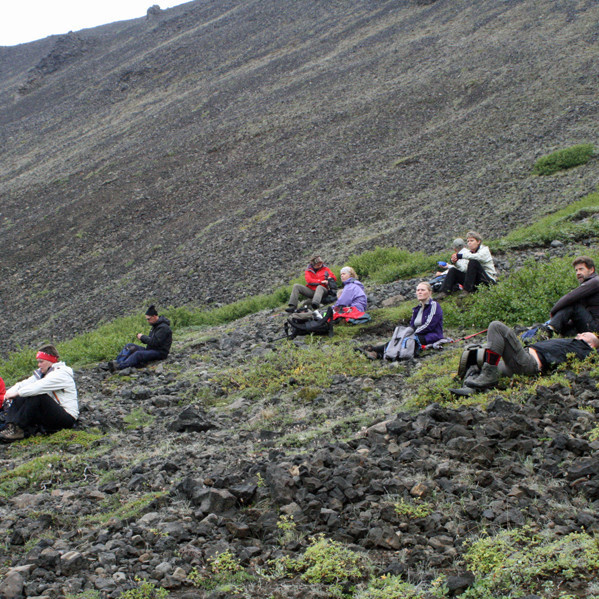 Áning í kjarri vaxinni hlíð Seljahjallagils.