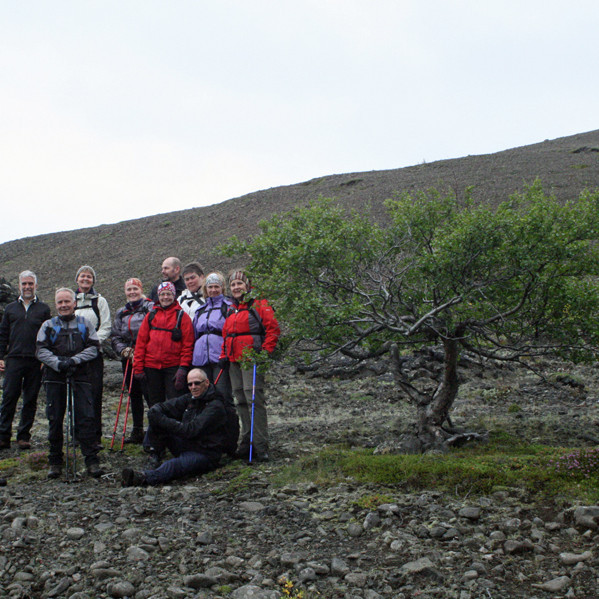 Gönguhópur FFA við staka birkihríslu við mynni Seljahjallagils.