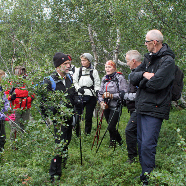 Í skjólsælum birkilundi í Arahvammi.