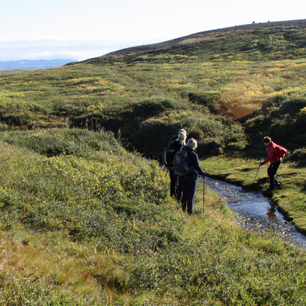 Við Steinbogalæk norðan Helluvaðs.