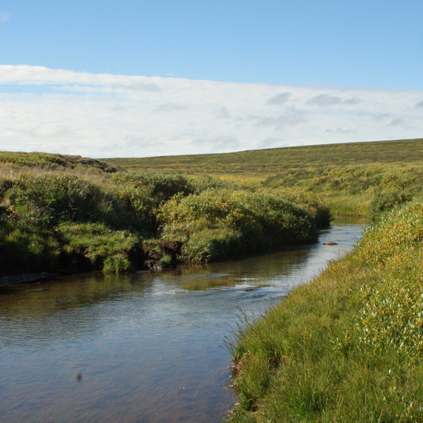 Helluvaðsgrófir hjá vaðinu á Gullveginum.