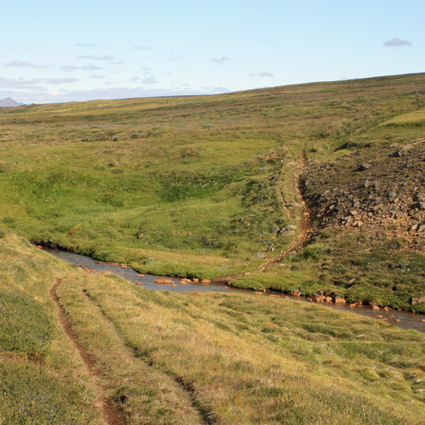 Sneiðingurinn yfir Laugagróf milli Laugasels og Stafnsholts, séð frá vesturbakkanum.