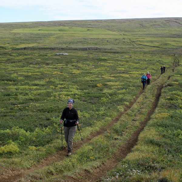 Við Gullveginn stutt norðvestan Stafnsholts.