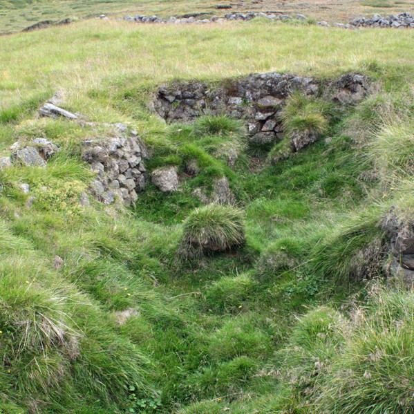 Rúst íbúðarhússins í Brenniási.