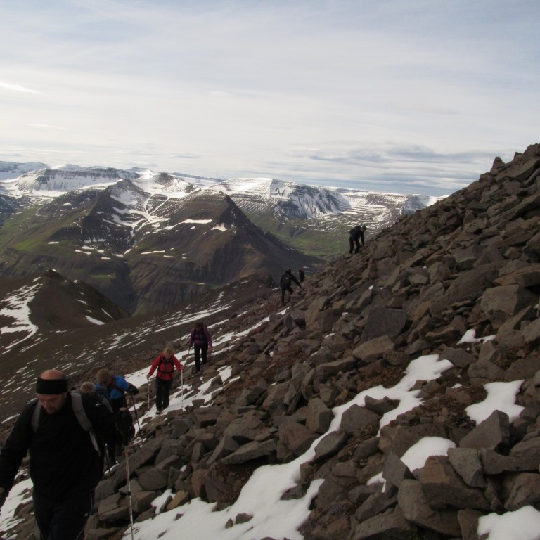 Í urðinni neðan við toppinn.